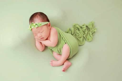 廊坊陕西助孕公司名单揭晓助孕行业新动向